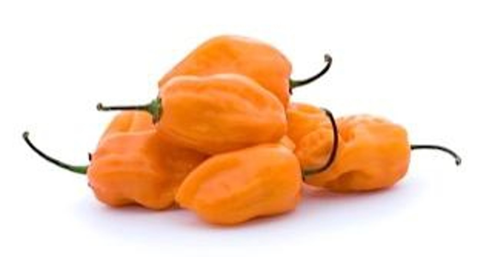 Piment jaune type Big Sun