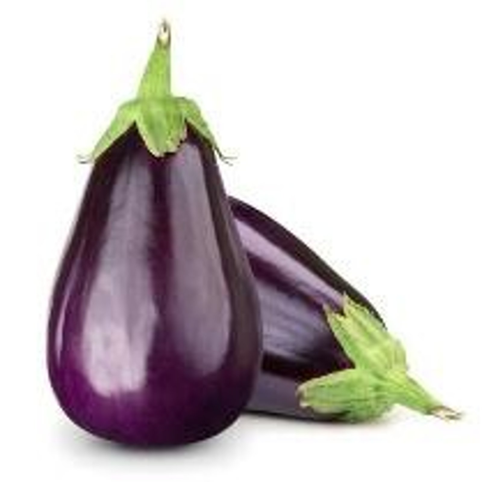 Aubergine Black Beauty
